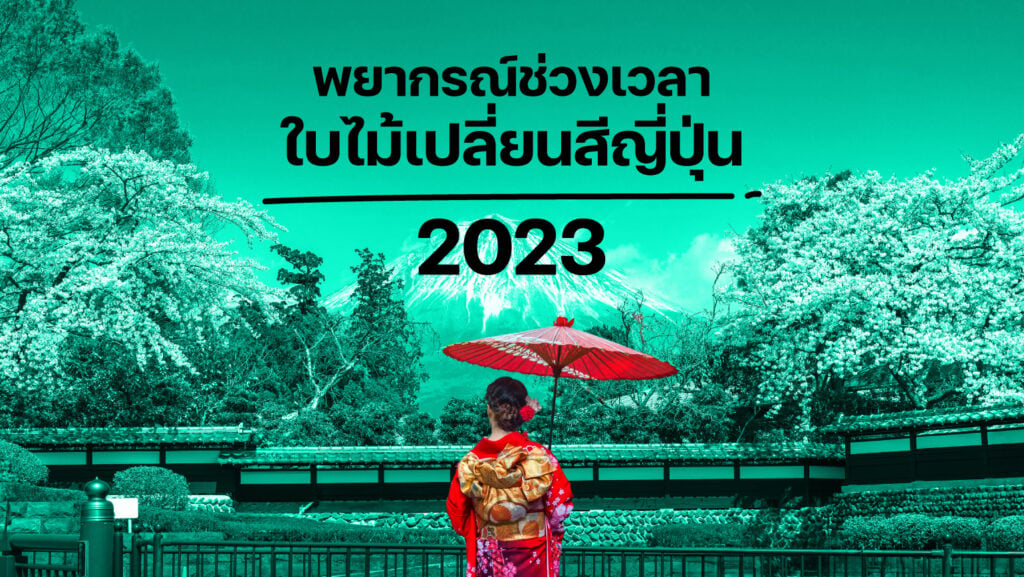 ต้องดูช่วงเวลาใบไม้เปลี่ยนสีญี่ปุ่น2023