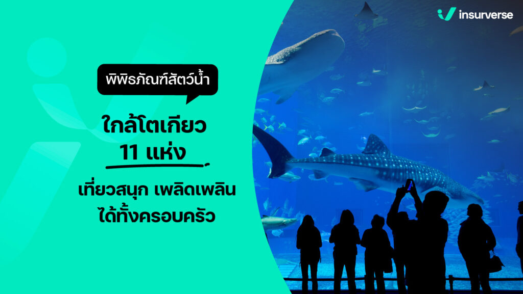 พิพิธภัณฑ์สัตว์น้ำใกล้โตเกียว 11 แห่ง เที่ยวสนุกเพลิดเพลินได้ทั้งครอบครัว