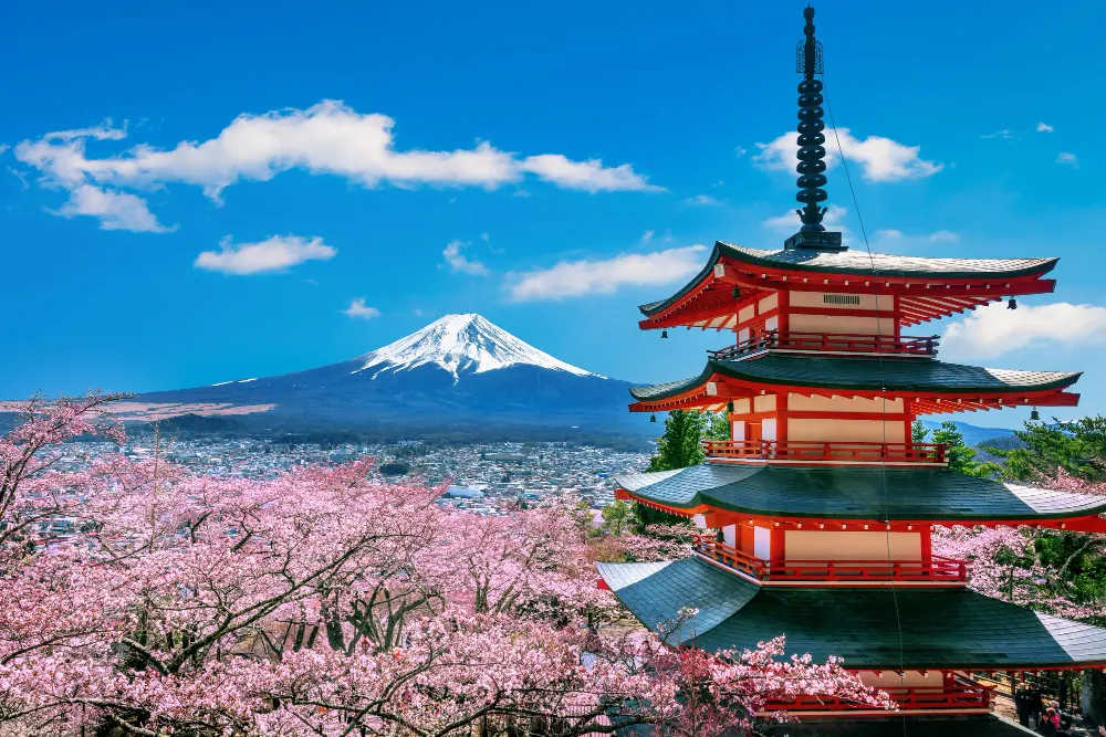 cherry-blossoms-spring-chureito-pagoda-fuji-mountain-japan