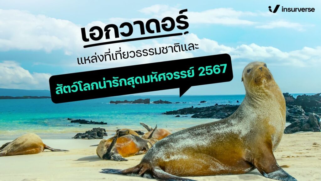 เอกวาดอร์แหล่งที่เที่ยวธรรมชาติและสัตว์โลกน่ารักสุดมหัศจรรย์ 2567