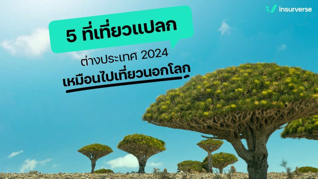 5 ที่เที่ยวแปลกต่างประเทศ 2024 เหมือนไปเที่ยวนอกโลก