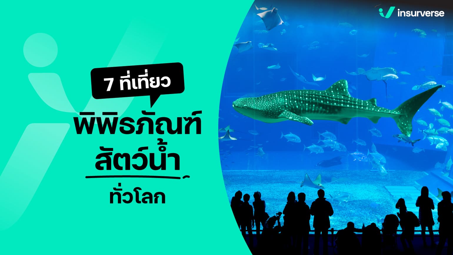 7 ที่เที่ยวพิพิธภัณฑ์สัตว์น้ำ ทั่วโลก