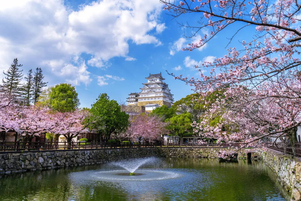 cherry-blossoms-and-castle-in-himeji-japan