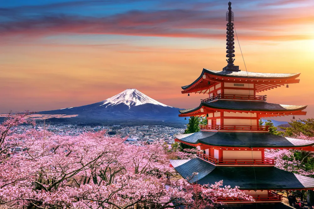 cherry-blossoms-in-spring-and-fuji-mountain