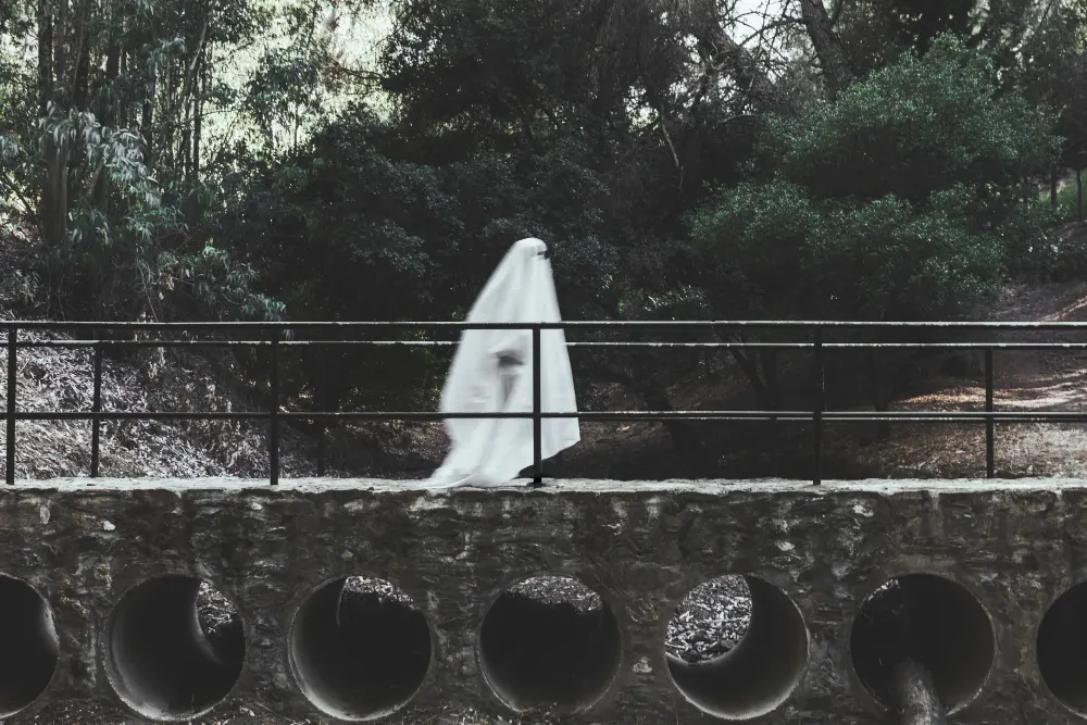 gloomy-ghost-walking-on-overpass-in-forest