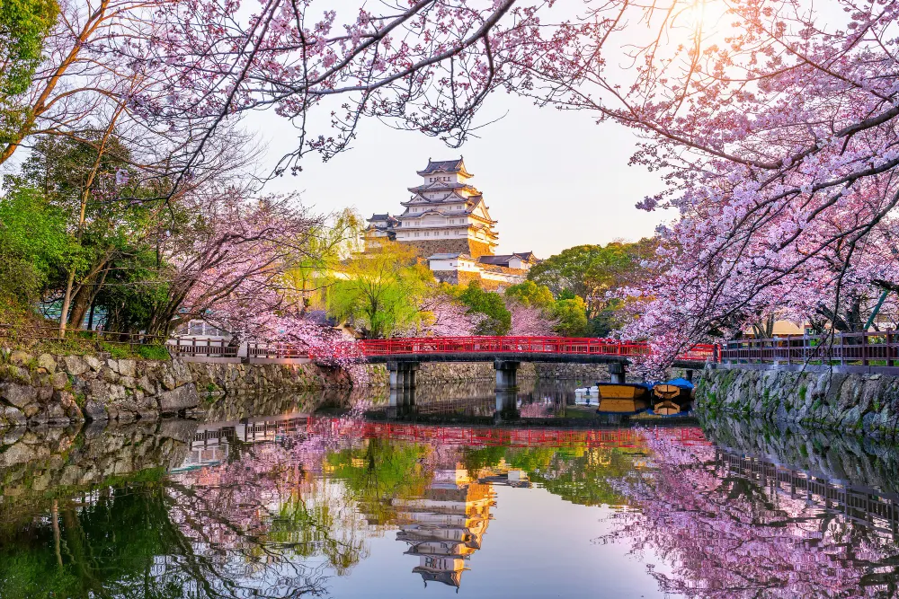 hejime-castle-sakura