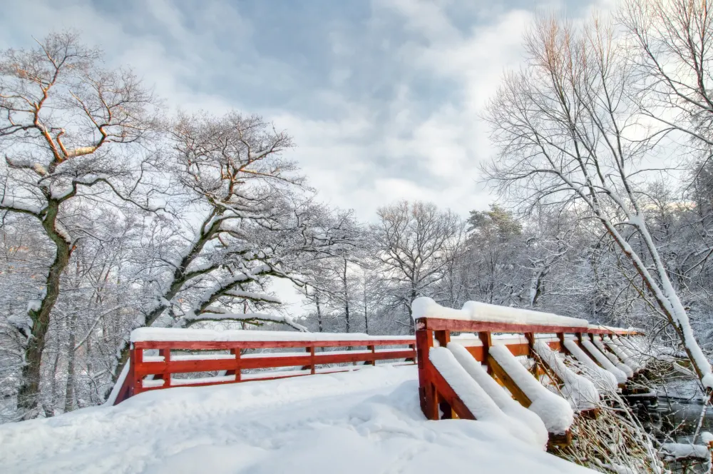 winter-landscape-with-a-snowy-bridge