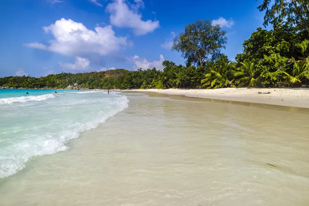 beach-surrounded-by-sea-greenery-sunlight-blue-sky-praslin-seychelles