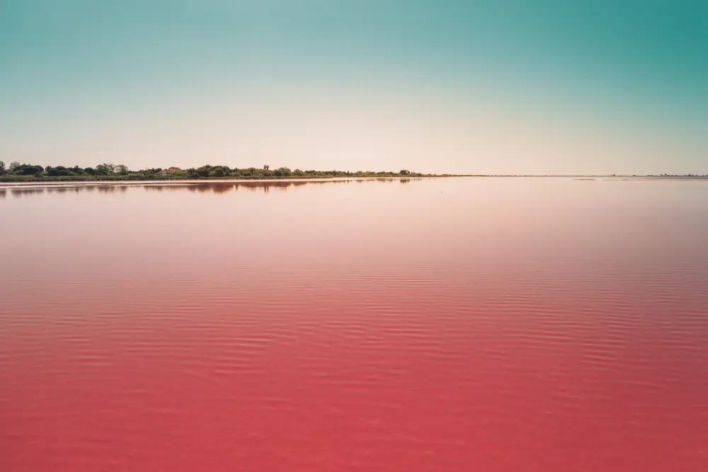 beautiful-calm-pink-lake-blue-sky-captured-camarque-france