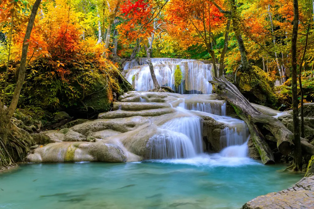 colorful-majestic-waterfall-national-park-forest-during-autumn