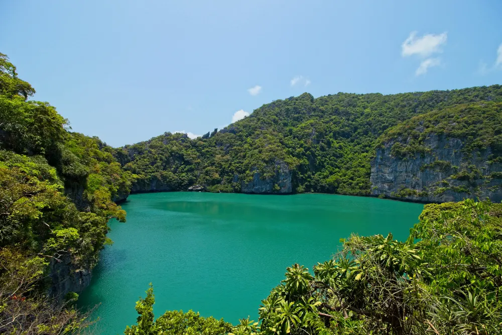 high-angle-shot-lake-surrounded-by-tree-covered-mountains-captured-thailand