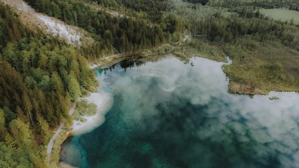 lake-surrounded-by-forests