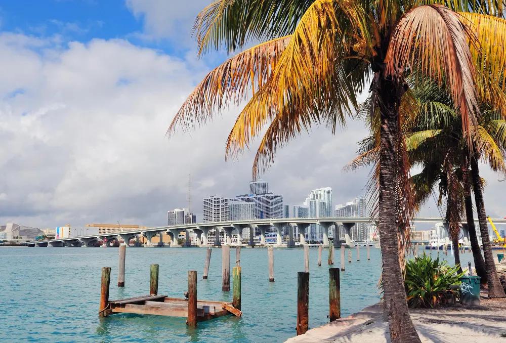 miami-city-tropical-view-sea-from-dock-day-with-blue-sky-cloud