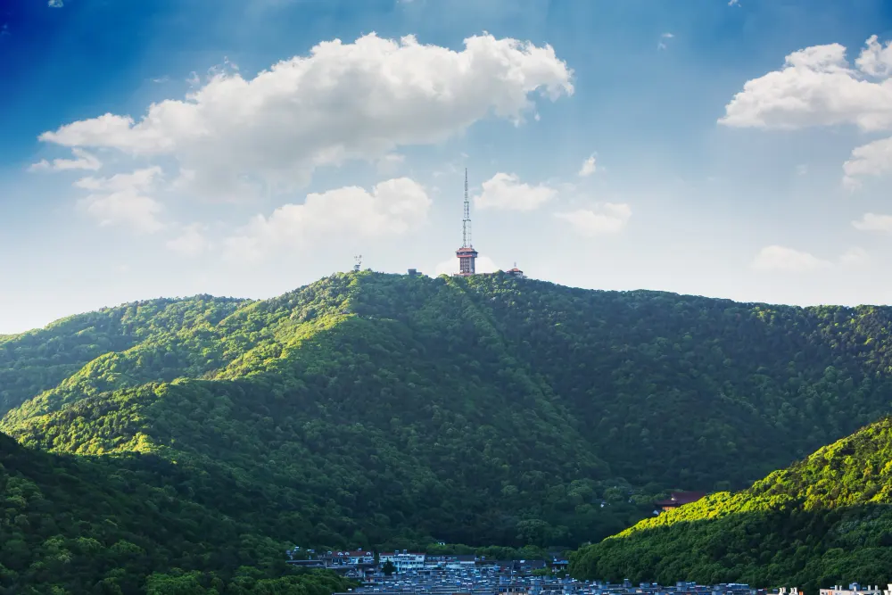 mountain-with-many-trees