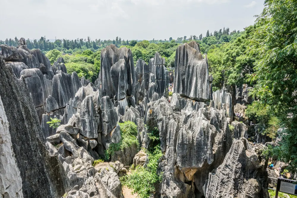 national-park-in-kunming