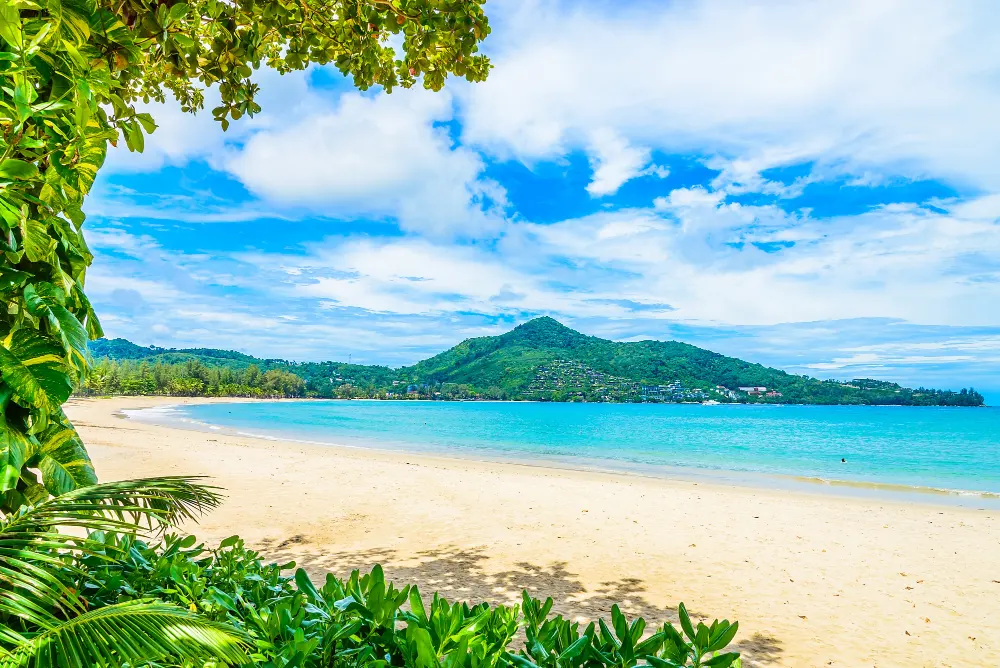 sea-and-tree-and-sand