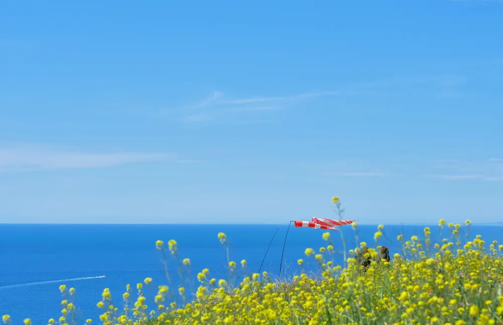 selective-focus-waving-flags-sea-selective-focus-blurred-sky-beauty-nature-landscape-black-sea-coast-horizontal-photo