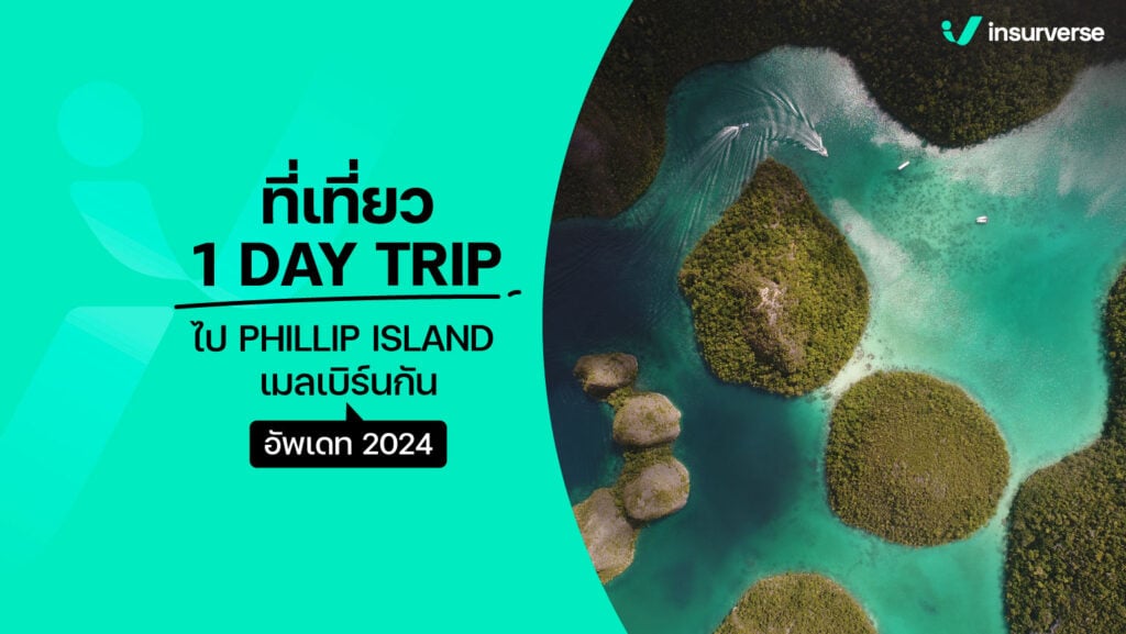 ที่เที่ยว 1 DAY TRIP ไป PHILLIP ISLAND เมลเบิร์นกัน อัพเดท 2024
