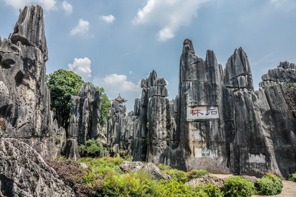 area-in-the-national-park-in-kunming-china