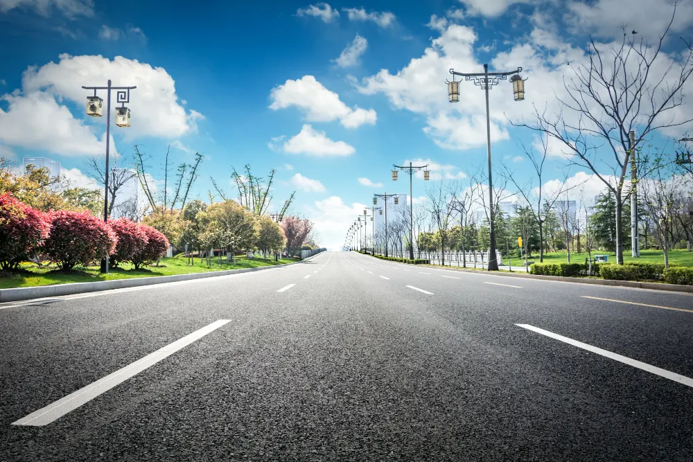 asphalt-road-and-forest