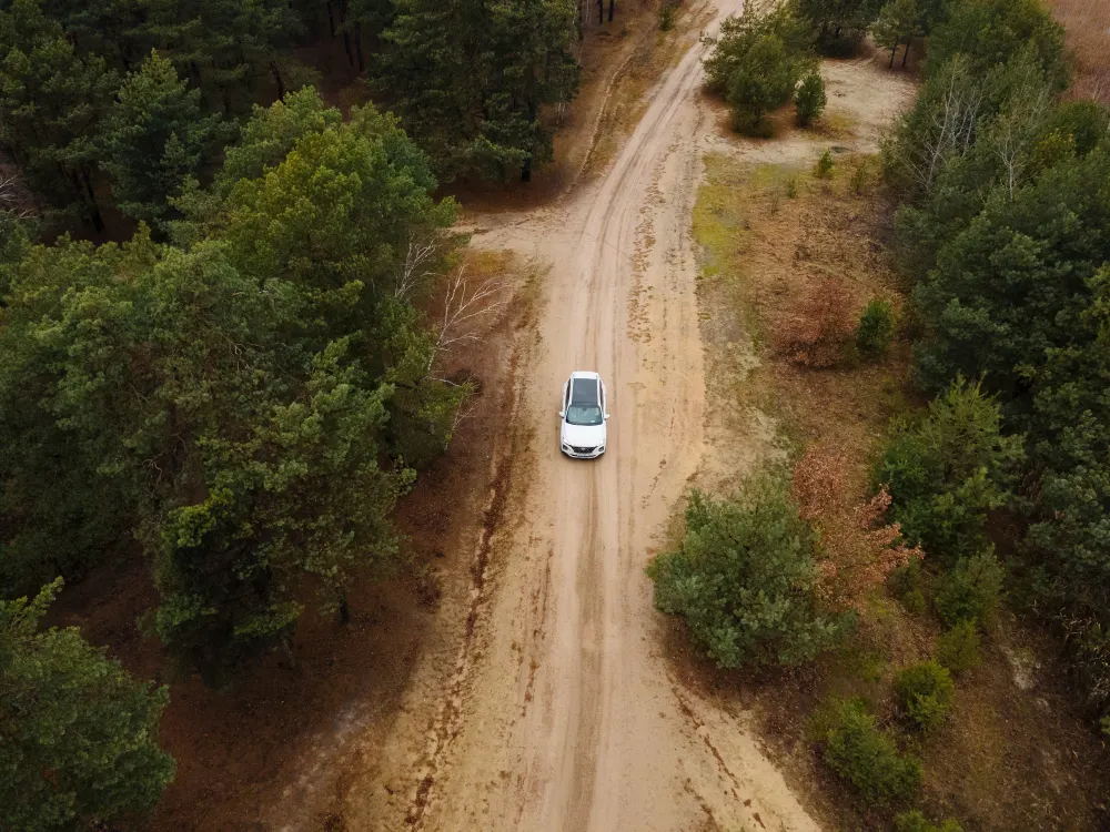 car-on-a-dirt-road-by-the-forest