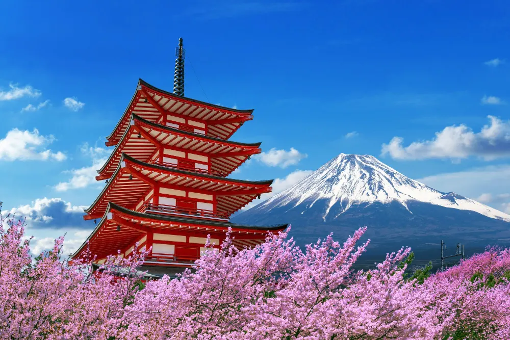 cherry-blossoms-in-spring-chureito-pagoda-and-fuji-mountain-in-japan