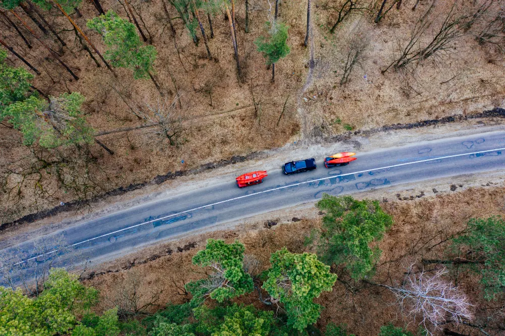 driving-on-the-road-among-trees