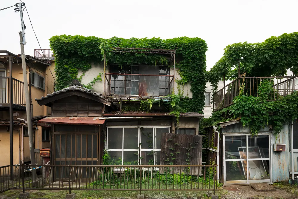 abandoned-house-with-plants