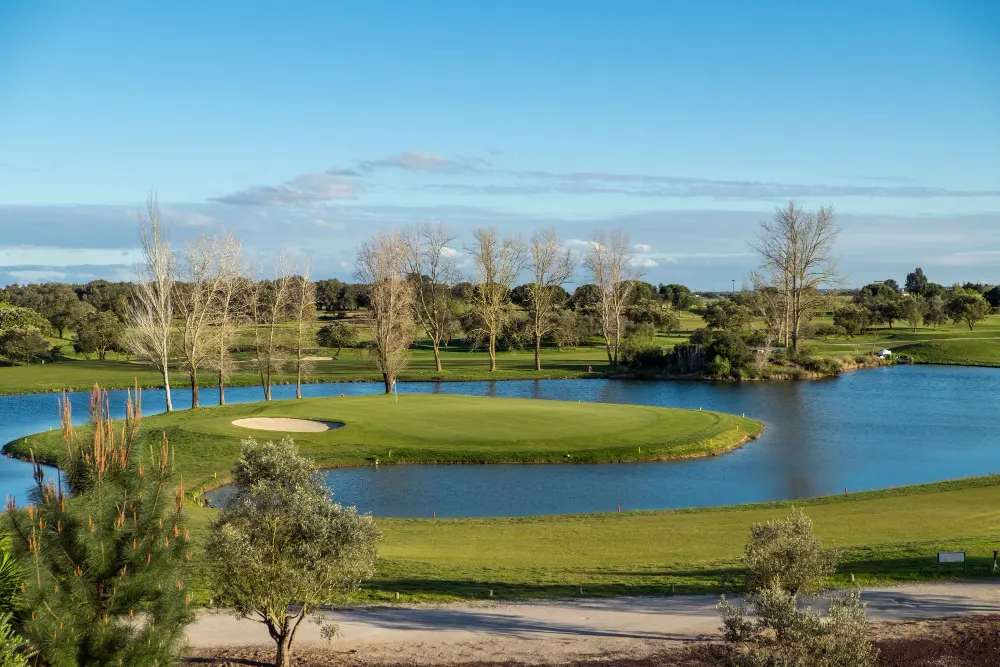 lake-surrounded-by-greenery-under-blue-sky