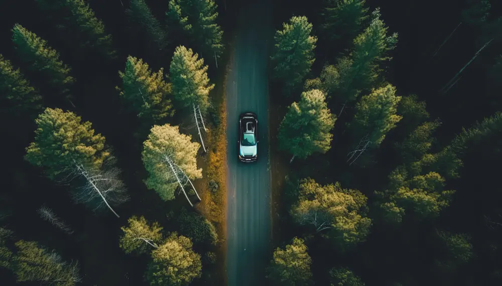 the-car-rides-on-the-road-among-the-forest