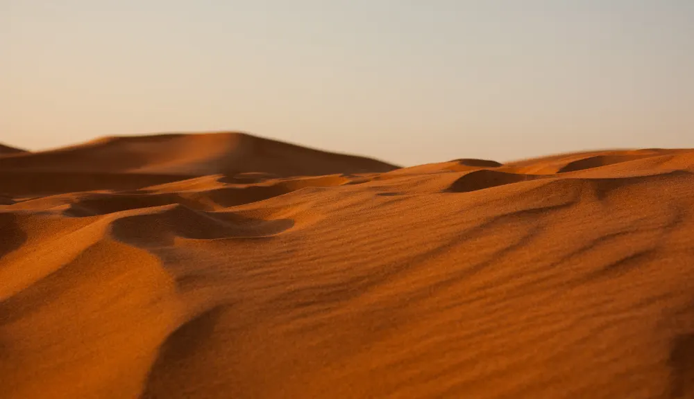 wide-shot-of-sandy-erg-desert