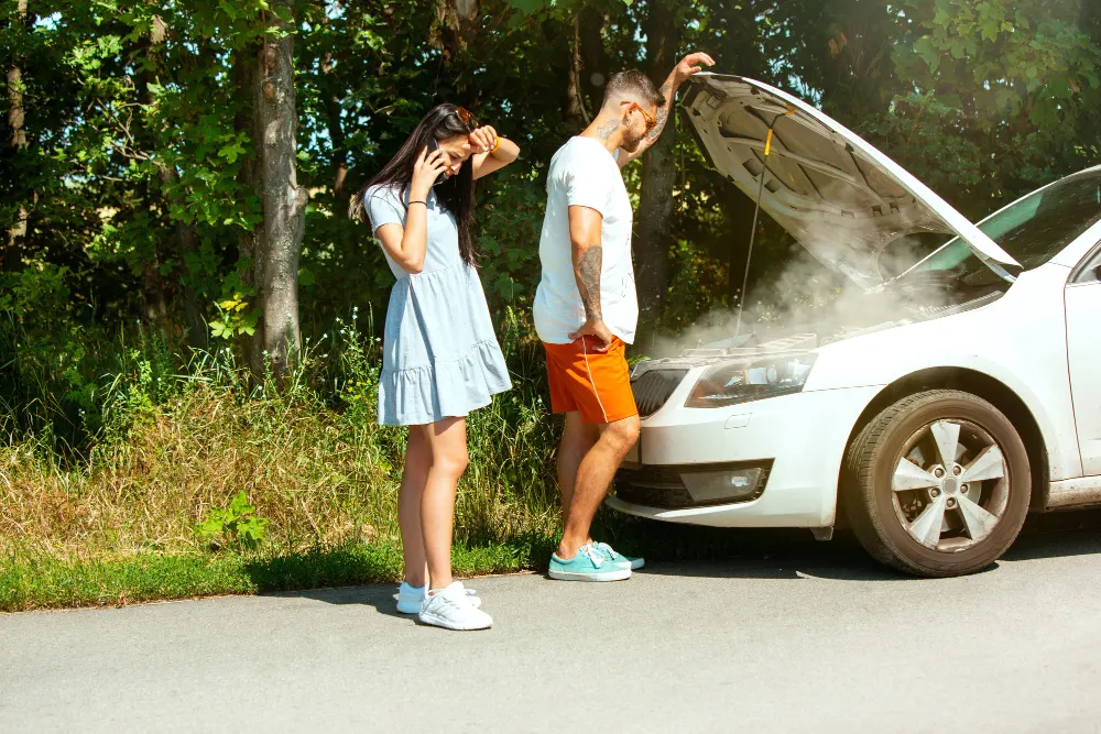 young-couple-travelling-on-a-sunny-day