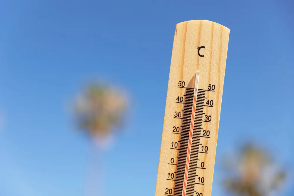 close-up-thermometer