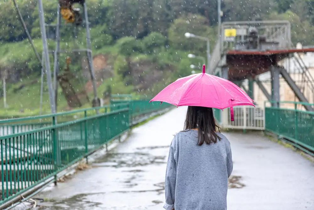 a-girl -walks-under-an-umbrella-in-rainy-weather-on-a-bridge-in-the-forest