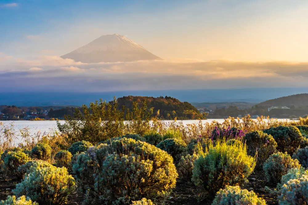 beautiful-landscape-of-mountain-fuji