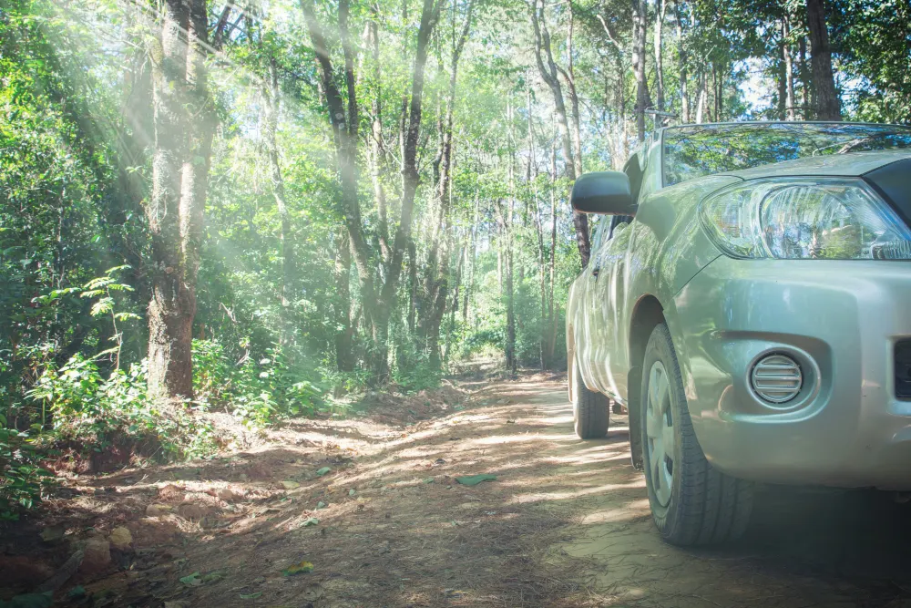 car-with-dirt-road-rally-and-nature-background