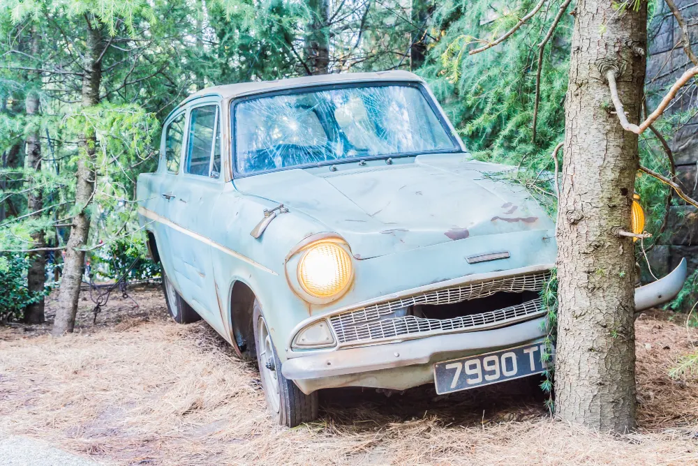 forest-with-an-abandoned-car