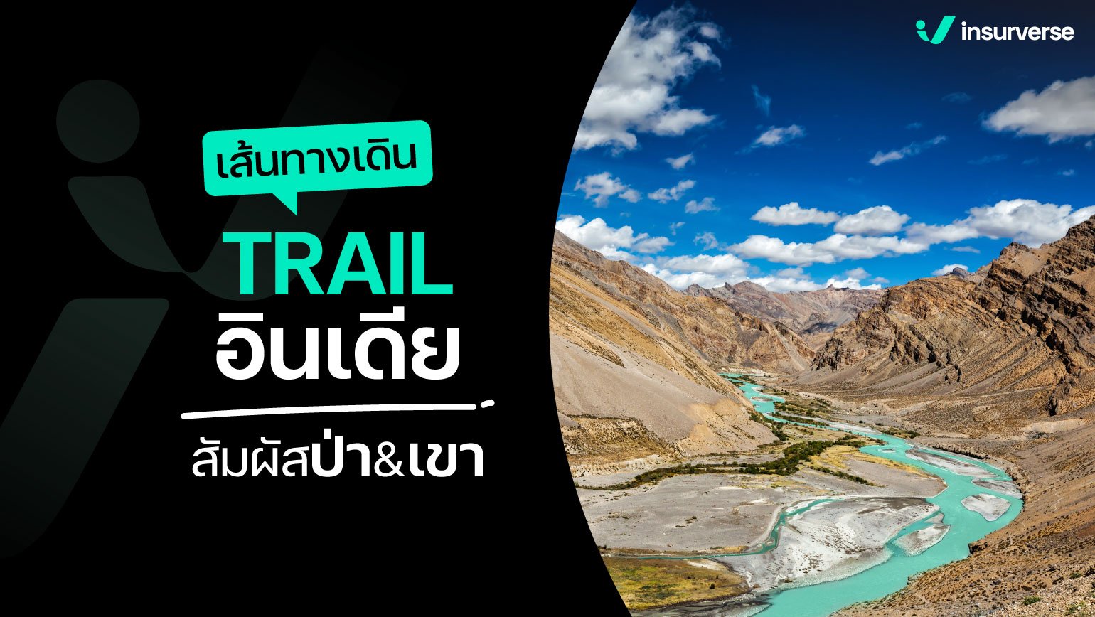 เส้นทางเดิน TRAIL อินเดีย สัมผัสป่า&เขา