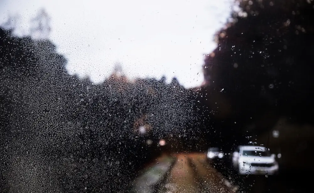 rain-effect-on-road-background