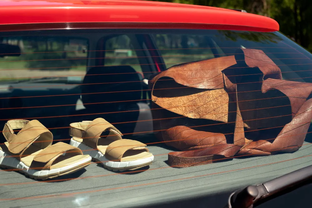 view-of-travel-items-inside-car-ready-for-trip