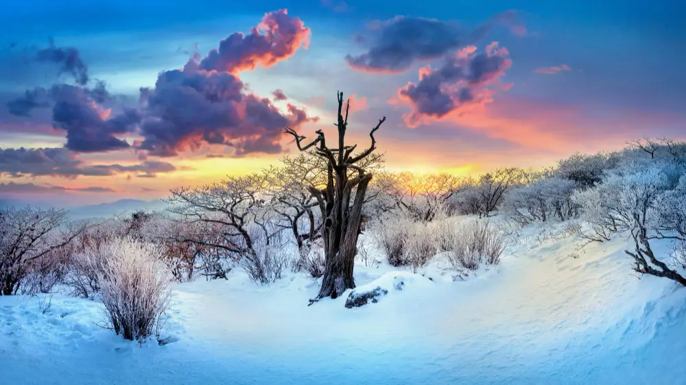 Deogyusan-mountains-in-winter