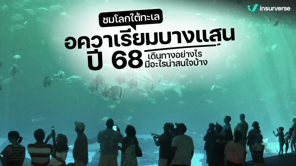 ชมโลกใต้ทะเล อควาเรียมบางแสน ปี 68 เดินทางอย่างไร มีอะไรน่าสนใจบ้าง