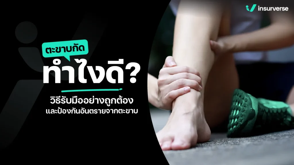 ตะขาบกัด ทำไงดี? วิธีรับมืออย่างถูกต้องและป้องกันอันตรายจากตะขาบ