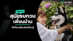 กฎหมายสุนัขรบกวนเพื่อนบ้าน สิ่งที่คนเลี้ยงสัตว์ต้องรู้