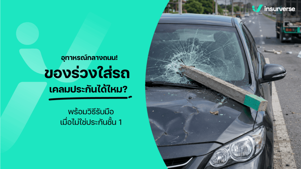 ไม้ยูคาลิปตัสร่วงใส่รถ เคลมประกันรถยนต์อย่างไร