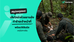 สรุปเหตุสลด! เสือโคร่งห้วยขาแข้งทำร้ายเจ้าหน้าที่ พร้อมวิธีรับมือเหตุไม่คาดฝัน