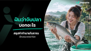 ฝันว่าจับปลาบอกอะไร สรุปคำทำนายโบราณ เช็กเลขมงคลนำโชค