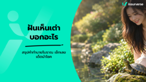 ฝันเห็นเต่าบอกอะไร สรุปคำทำนายโบราณ เช็กเลขเด็ดนำโชค