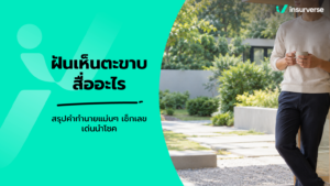 ฝันเห็นตะขาบสื่ออะไร สรุปคำทำนายแม่นๆ เช็กเลขเด่นนำโชค