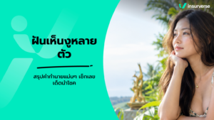 ฝันเห็นงูหลายตัว สรุปคำทำนายแม่นๆ เช็กเลขเด็ดนำโชค